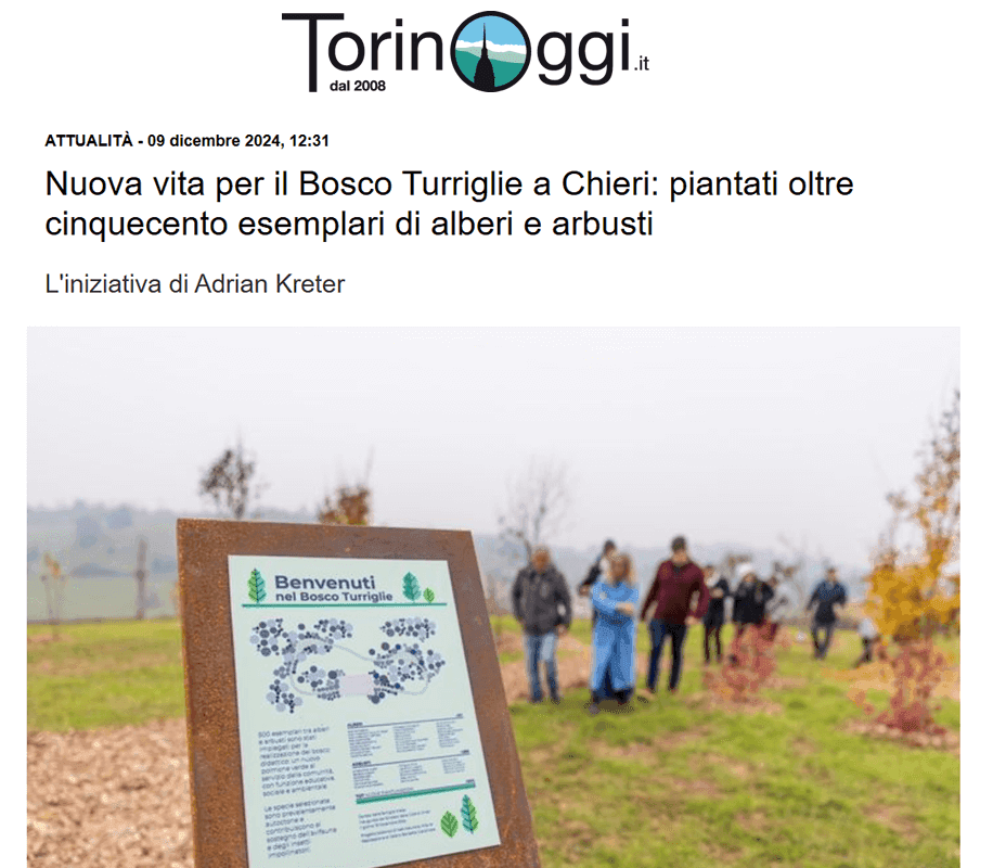 Torinoggi Article